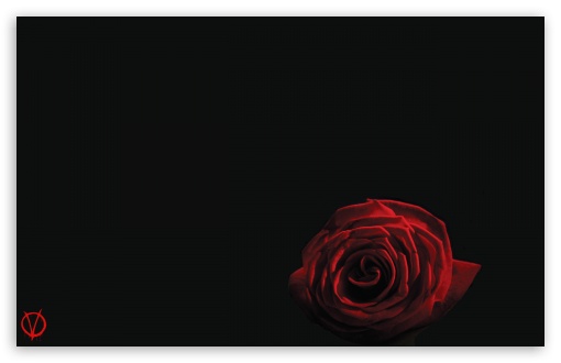 V For Vendetta Rose HD desktop wallpaper : High Definition ...