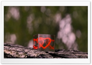 Valentines Day Ultra HD Wallpaper for 4K UHD Widescreen desktop, tablet & smartphone