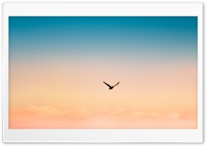 Vanilla Sky Ultra HD Wallpaper for 4K UHD Widescreen desktop, tablet & smartphone