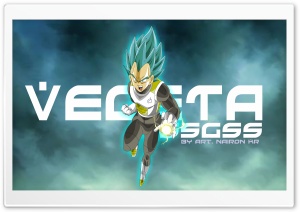 vegeta ssgss Ultra HD Wallpaper for 4K UHD Widescreen desktop, tablet & smartphone