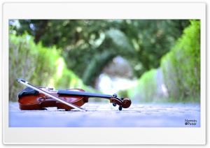 Violin Ultra HD Wallpaper for 4K UHD Widescreen desktop, tablet & smartphone