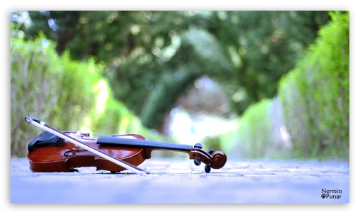 Violin UltraHD Wallpaper for Mobile 16:9 - 2160p 1440p 1080p 900p 720p ;