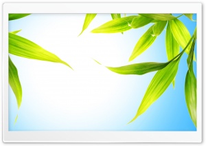 Vivid Ultra HD Wallpaper for 4K UHD Widescreen desktop, tablet & smartphone