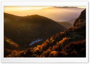 Vosges Mountains, Woodland, Autumn Colors Ultra HD Wallpaper for 4K UHD Widescreen desktop, tablet & smartphone