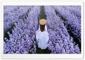 Walking through a Field of Flowers Ultra HD Wallpaper for 4K UHD Widescreen desktop, tablet & smartphone
