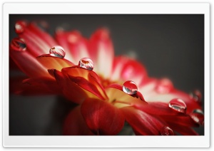 wallpaper 1769330 Ultra HD Wallpaper for 4K UHD Widescreen desktop, tablet & smartphone
