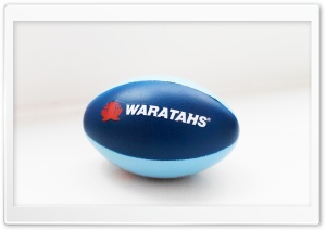 Waratahs Ultra HD Wallpaper for 4K UHD Widescreen desktop, tablet & smartphone
