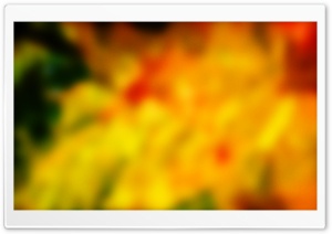 Warm soft Colors Ultra HD Wallpaper for 4K UHD Widescreen desktop, tablet & smartphone