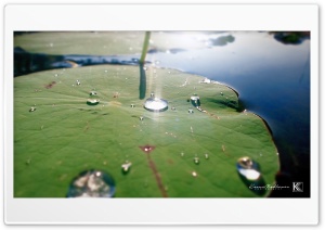 Water Bubble Ultra HD Wallpaper for 4K UHD Widescreen desktop, tablet & smartphone