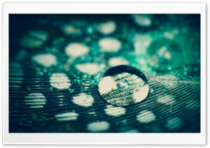 Water Drop Macro Ultra HD Wallpaper for 4K UHD Widescreen desktop, tablet & smartphone