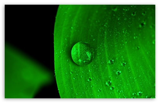 Hd Wallpaper Green Water Drop