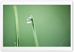 Water Droplet Ultra HD Wallpaper for 4K UHD Widescreen desktop, tablet & smartphone