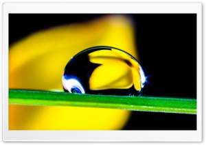 Water Drops On Leaf Macro Ultra HD Wallpaper for 4K UHD Widescreen desktop, tablet & smartphone