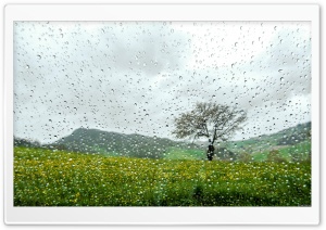 Water Drops on the Screen Ultra HD Wallpaper for 4K UHD Widescreen desktop, tablet & smartphone