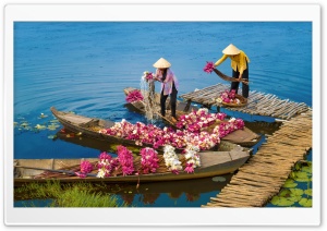 Water Lilies Flowers, Traditional Boats Ultra HD Wallpaper for 4K UHD Widescreen desktop, tablet & smartphone