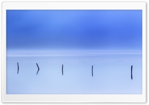 Water Reflection Photography Ultra HD Wallpaper for 4K UHD Widescreen desktop, tablet & smartphone