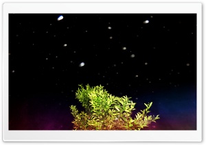 Water Stars Ultra HD Wallpaper for 4K UHD Widescreen desktop, tablet & smartphone