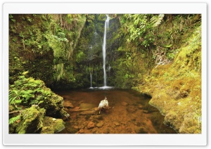 Waterfall In Hawaii Ultra HD Wallpaper for 4K UHD Widescreen desktop, tablet & smartphone