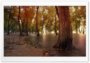 Waterscape Ultra HD Wallpaper for 4K UHD Widescreen desktop, tablet & smartphone