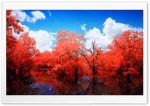 Watershed Ultra HD Wallpaper for 4K UHD Widescreen desktop, tablet & smartphone
