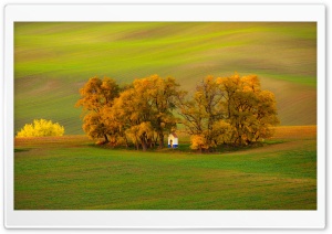 Wavy Land, Trees, Autumn Landscape Ultra HD Wallpaper for 4K UHD Widescreen desktop, tablet & smartphone
