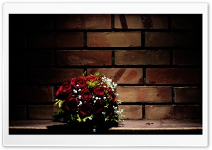 Wedding Photo Ultra HD Wallpaper for 4K UHD Widescreen desktop, tablet & smartphone