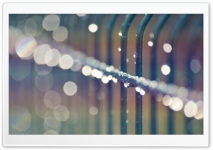 Wet Metalic Fence, Bokeh Ultra HD Wallpaper for 4K UHD Widescreen desktop, tablet & smartphone
