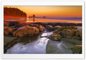 Wet Sand Ultra HD Wallpaper for 4K UHD Widescreen desktop, tablet & smartphone