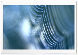 Wet Spider Web Ultra HD Wallpaper for 4K UHD Widescreen desktop, tablet & smartphone