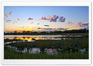 Wetlands, Lawrence, Kansas Ultra HD Wallpaper for 4K UHD Widescreen desktop, tablet & smartphone