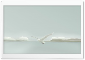 White Seagull Ultra HD Wallpaper for 4K UHD Widescreen desktop, tablet & smartphone