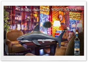 white shark vodka Ultra HD Wallpaper for 4K UHD Widescreen desktop, tablet & smartphone