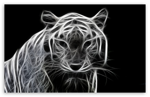White Tiger 3D Ultra HD Desktop Background Wallpaper for 4K UHD TV : Tablet  : Smartphone