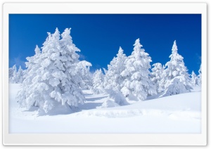 White Winter Landscape Ultra HD Wallpaper for 4K UHD Widescreen desktop, tablet & smartphone
