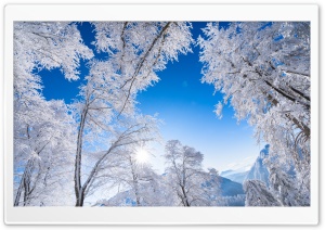 White Winter Mountain Forest Ultra HD Wallpaper for 4K UHD Widescreen desktop, tablet & smartphone