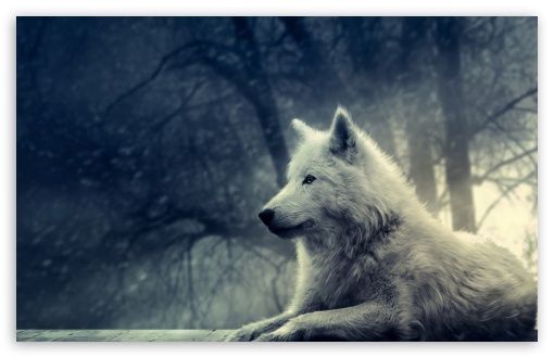 White Wolf Painting Ultra HD Desktop