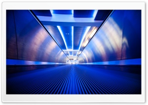 Whole Lotta Money Ultra HD Wallpaper for 4K UHD Widescreen desktop, tablet & smartphone