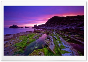 Wild Beach 3 Ultra HD Wallpaper for 4K UHD Widescreen desktop, tablet & smartphone