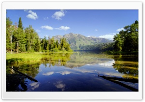 Wild Nature Ultra HD Wallpaper for 4K UHD Widescreen desktop, tablet & smartphone