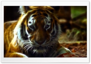 Wildness Ultra HD Wallpaper for 4K UHD Widescreen desktop, tablet & smartphone