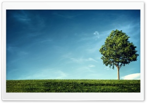 Wind Ultra HD Wallpaper for 4K UHD Widescreen desktop, tablet & smartphone