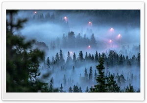 Winding Mountain Road, Fog, Coniferous Forest Ultra HD Wallpaper for 4K UHD Widescreen desktop, tablet & smartphone