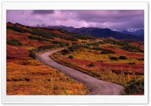 Winding Road Ultra HD Wallpaper for 4K UHD Widescreen desktop, tablet & smartphone