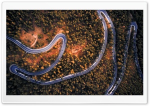 Winding Road, Forest, Spain Ultra HD Wallpaper for 4K UHD Widescreen desktop, tablet & smartphone