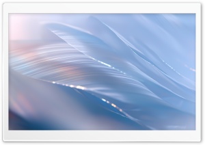 Windows 365 Cloud PC Microsoft Ultra HD Wallpaper for 4K UHD Widescreen desktop, tablet & smartphone