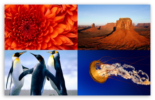 Nature Wallpapers Desktop Wallpaper Hd Download For ...