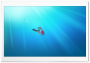 Windows Seven Fish Ultra HD Wallpaper for 4K UHD Widescreen desktop, tablet & smartphone