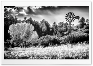 Windpump Windmill Black and White Ultra HD Wallpaper for 4K UHD Widescreen desktop, tablet & smartphone