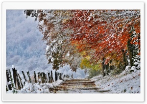 Winter Ultra HD Wallpaper for 4K UHD Widescreen desktop, tablet & smartphone