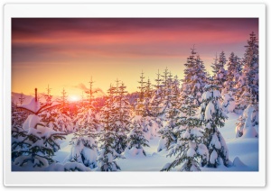 Winter Ultra HD Wallpaper for 4K UHD Widescreen desktop, tablet & smartphone